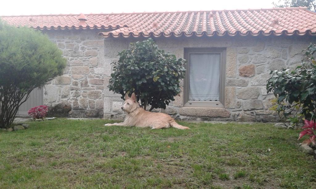Casa Maria da Assunção Vila Vila Nova de Cerveira Quarto foto